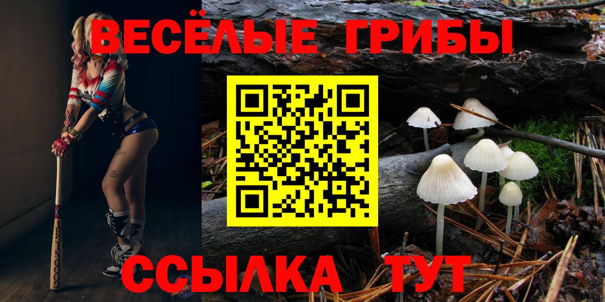 Галлюциногенные грибы ЛСД  Вход с VPN  Нерюнгри 